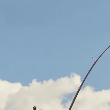 Fishing Rod Carbon Fiber - คันเบ็ดตกปลา BFS Dedicated L Action ความยาว